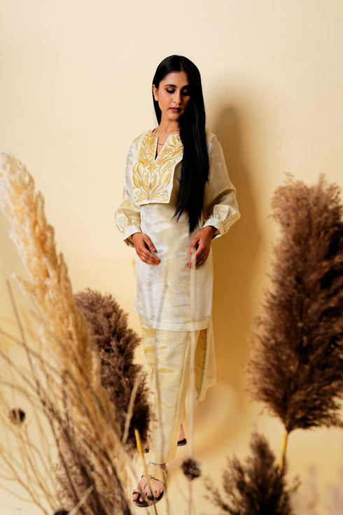 Organic Yoke Embroidered Kurta Set